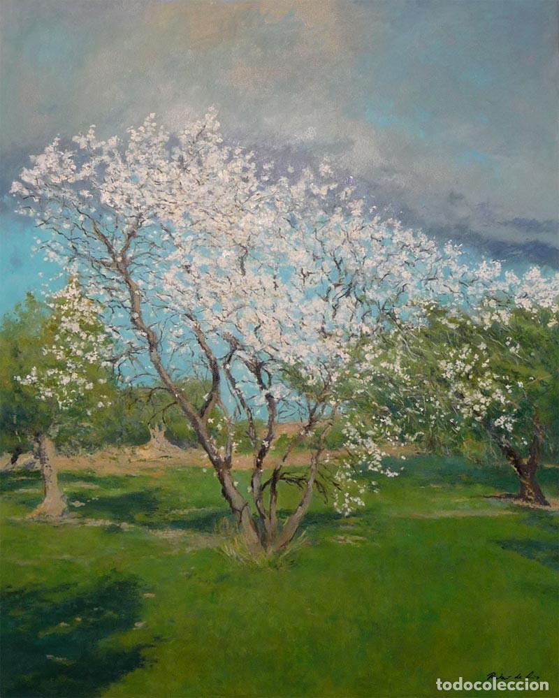 Arte: Cuadro al oleo de un almendro en flor - Foto 1