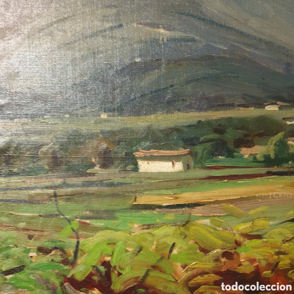 Arte: &Oacute;leo sobre lienzo . Joan Pares - Foto 6