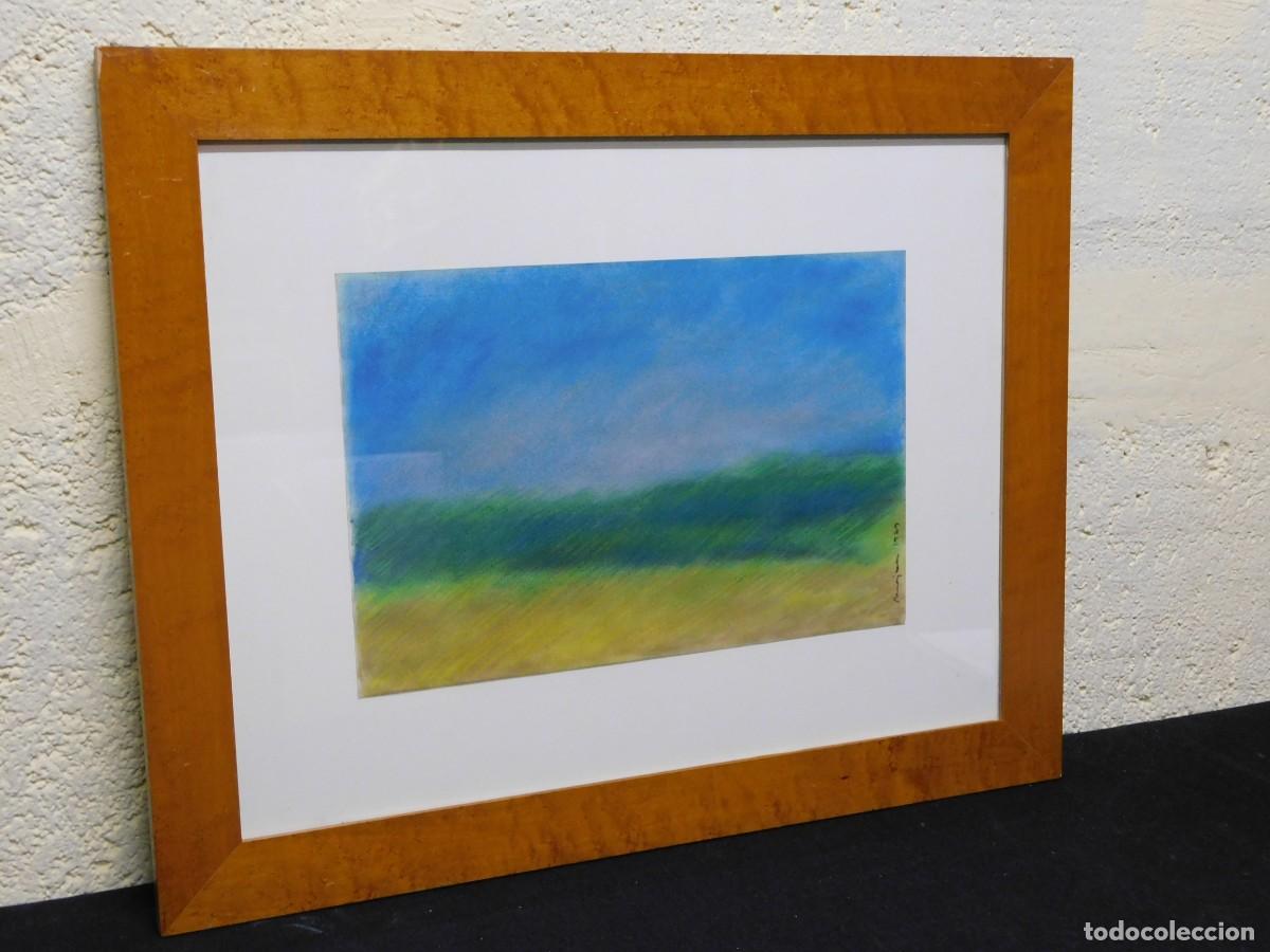 Arte: PASTEL SOBRE PAPEL - MEJAN - Foto 1