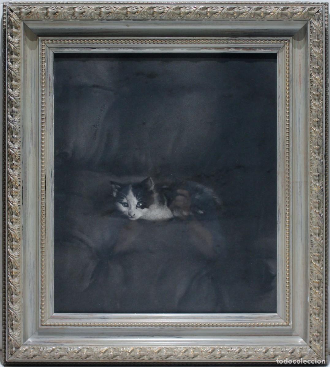 Arte: &rdquo;Gato&rdquo; - Benito Moreno - Pastel - Foto 1
