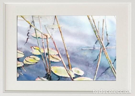 Arte: 12 ACUARELAS DE LAS LAGUNAS DE RUIDERA - Foto 4