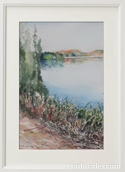 Arte: 12 ACUARELAS DE LAS LAGUNAS DE RUIDERA - Foto 10