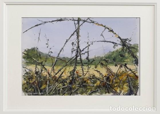 Arte: 12 ACUARELAS DE LAS LAGUNAS DE RUIDERA - Foto 12