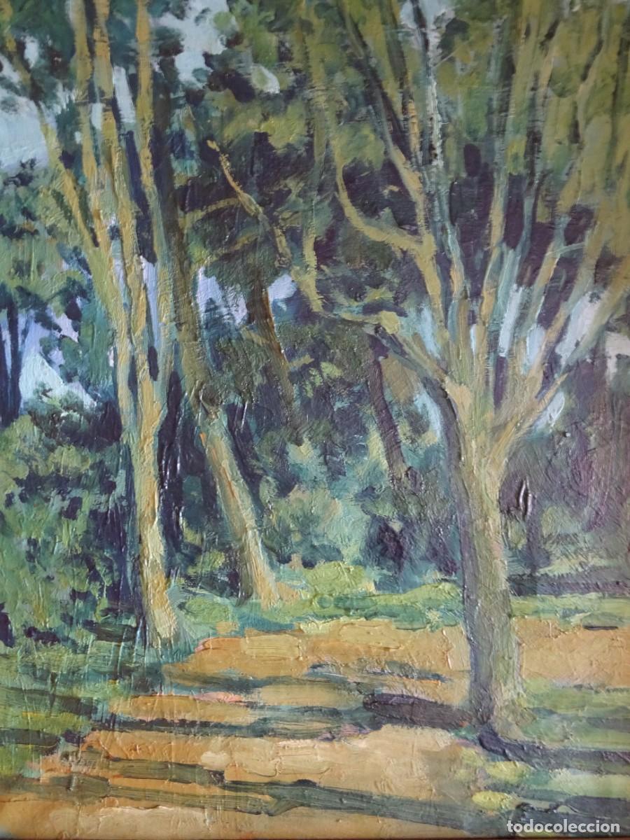 Arte: OLEO SOBRE LIENZO REPRESENTANDO UN BOSQUE - Foto 1