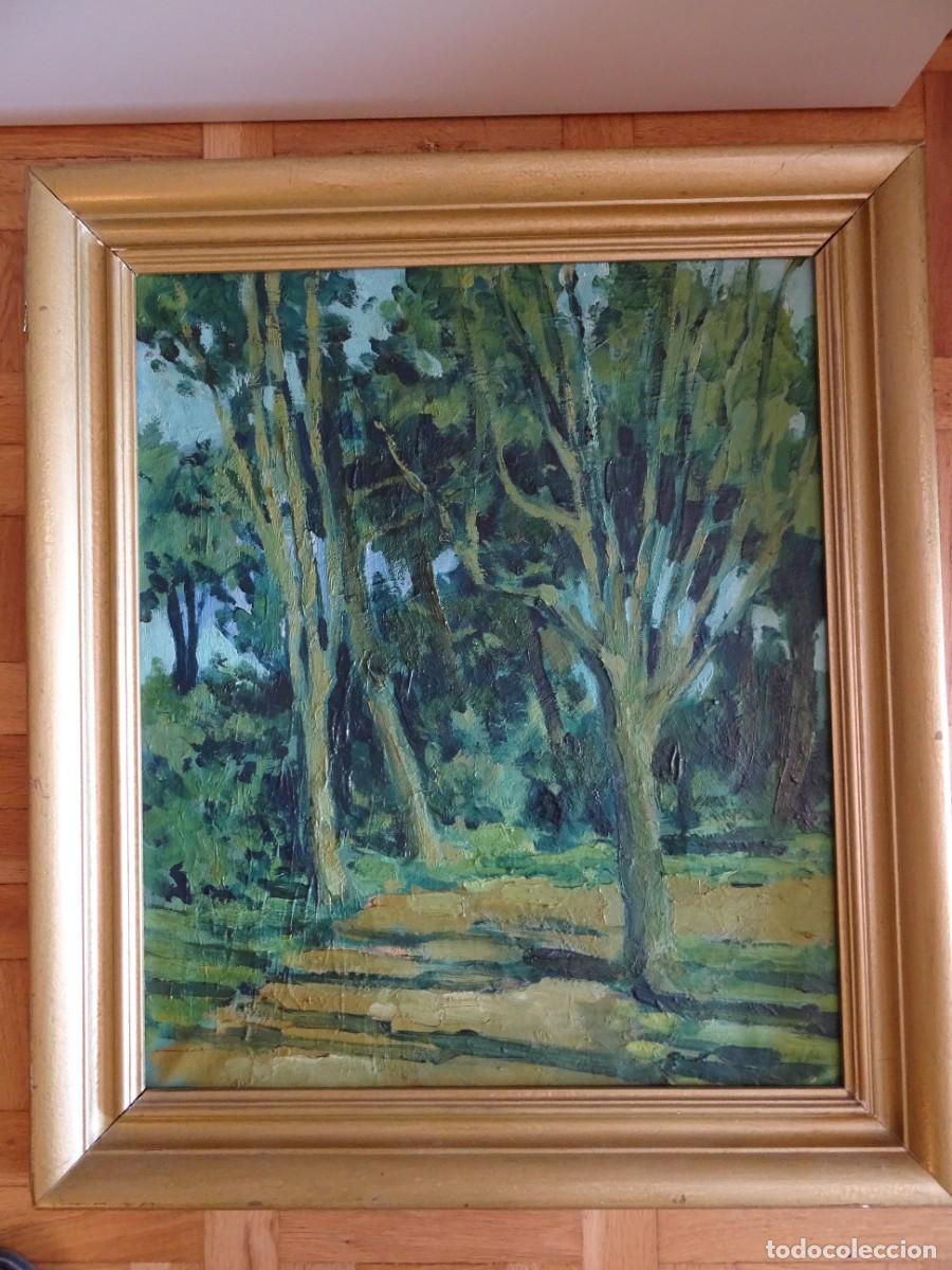 Arte: OLEO SOBRE LIENZO REPRESENTANDO UN BOSQUE - Foto 2
