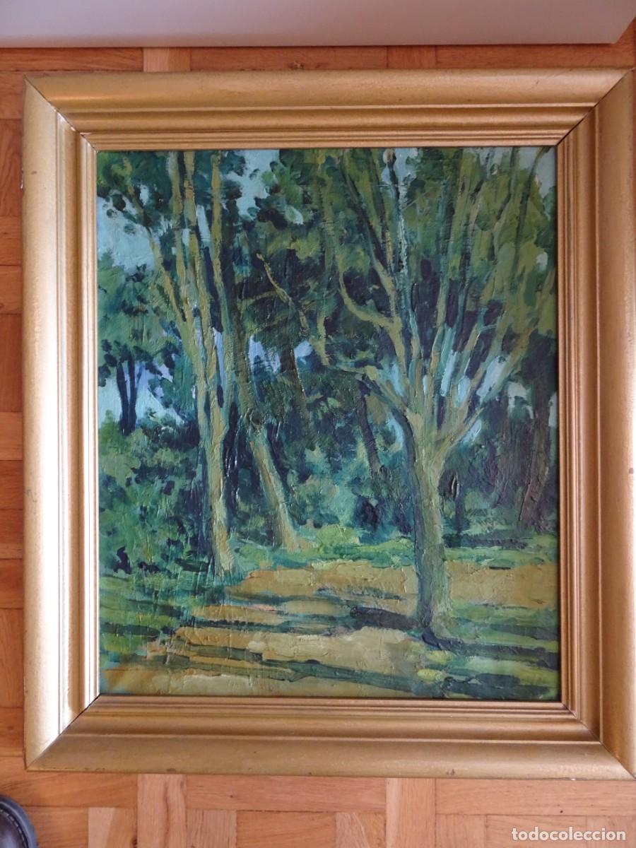Arte: OLEO SOBRE LIENZO REPRESENTANDO UN BOSQUE - Foto 3