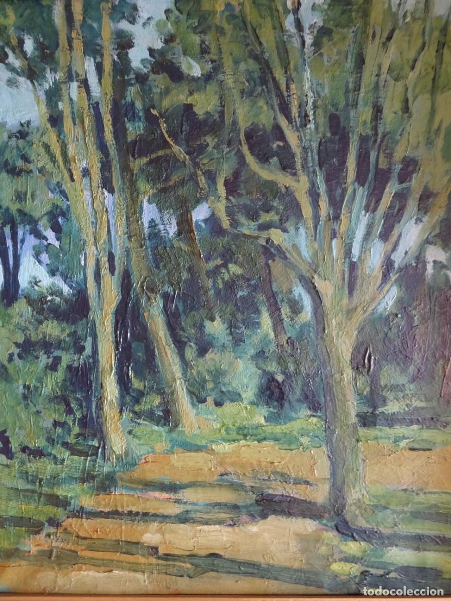 Arte: OLEO SOBRE LIENZO REPRESENTANDO UN BOSQUE - Foto 5