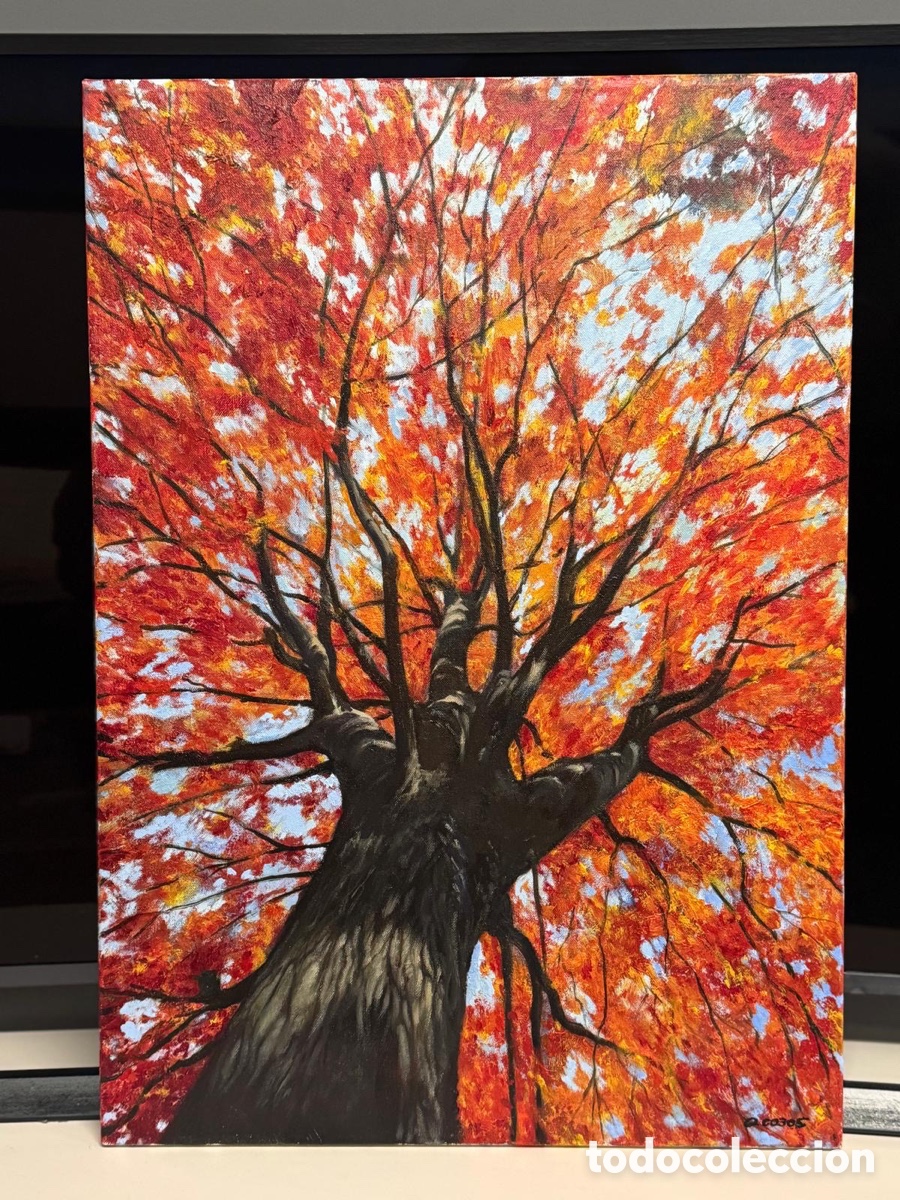 Arte: Oto&ntilde;o en Fuente del berro - Foto 1
