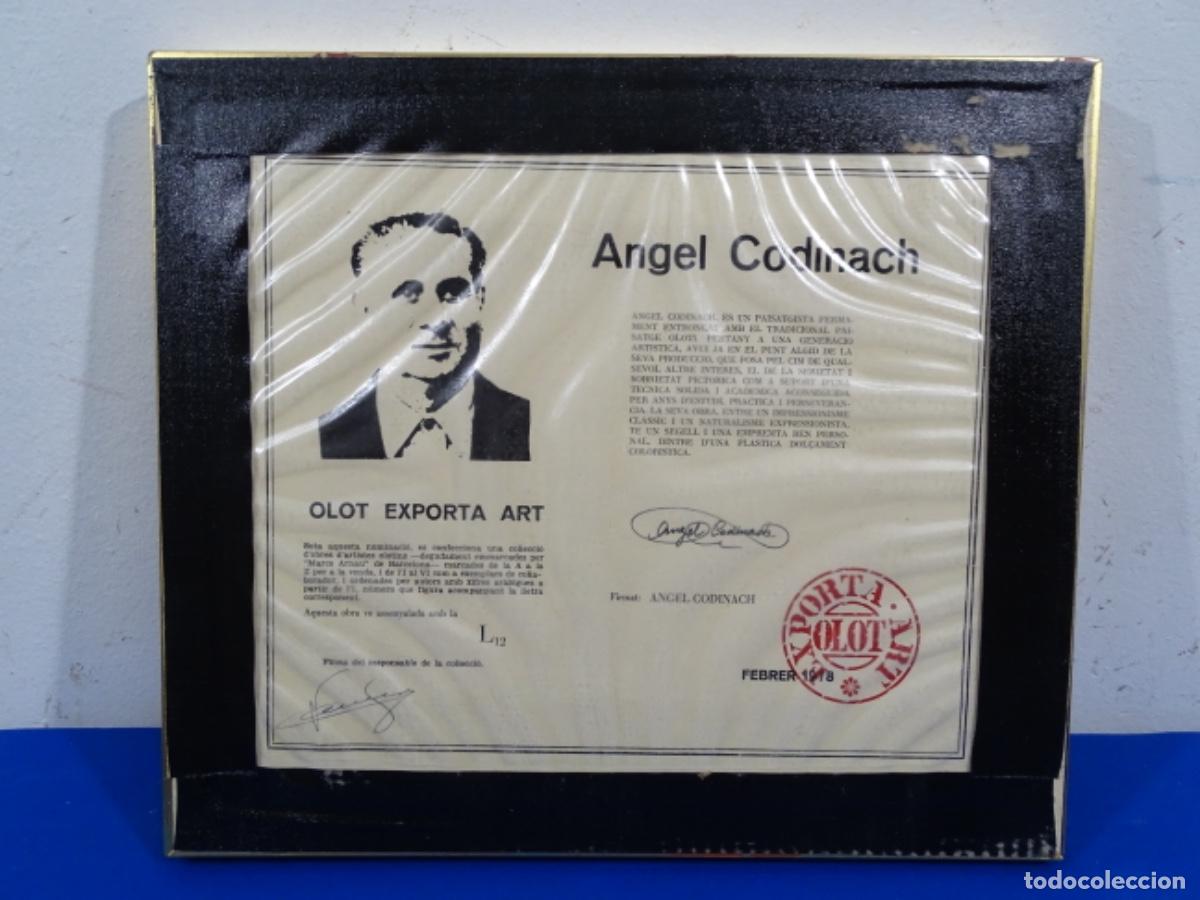 Arte: &Oacute;LEO TABLEX ANGEL CODINACH. - Foto 13