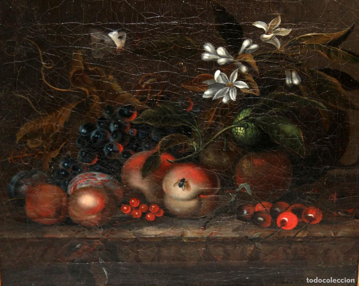 Art: IMPORTANTE BODEG&Oacute;N CON FRUTAS, MOSCA Y MARIPOSA - SIGLO XVIII - 84 X 75 CM