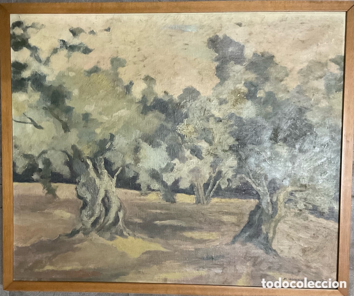 Arte: Paco Duran Vila Oleo sobre lienzo , paisaje con olivos