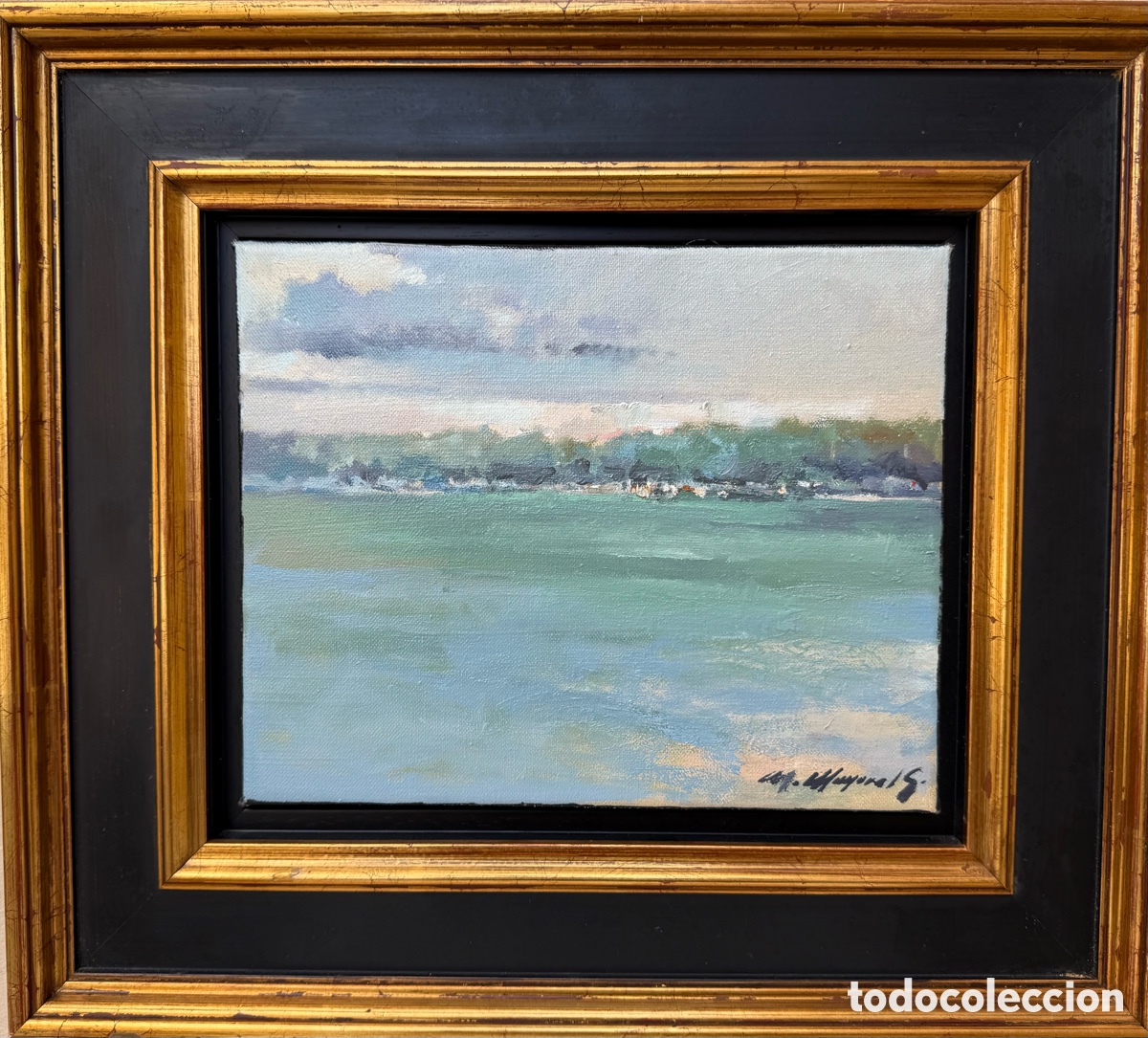 Arte: Playa de Manuel Mayoral - Foto 1