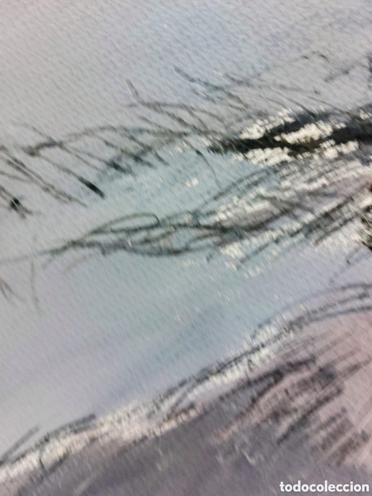 Arte: XAVIER RUSCALLEDA OLEO..GOUACHE..68X47 - Foto 9