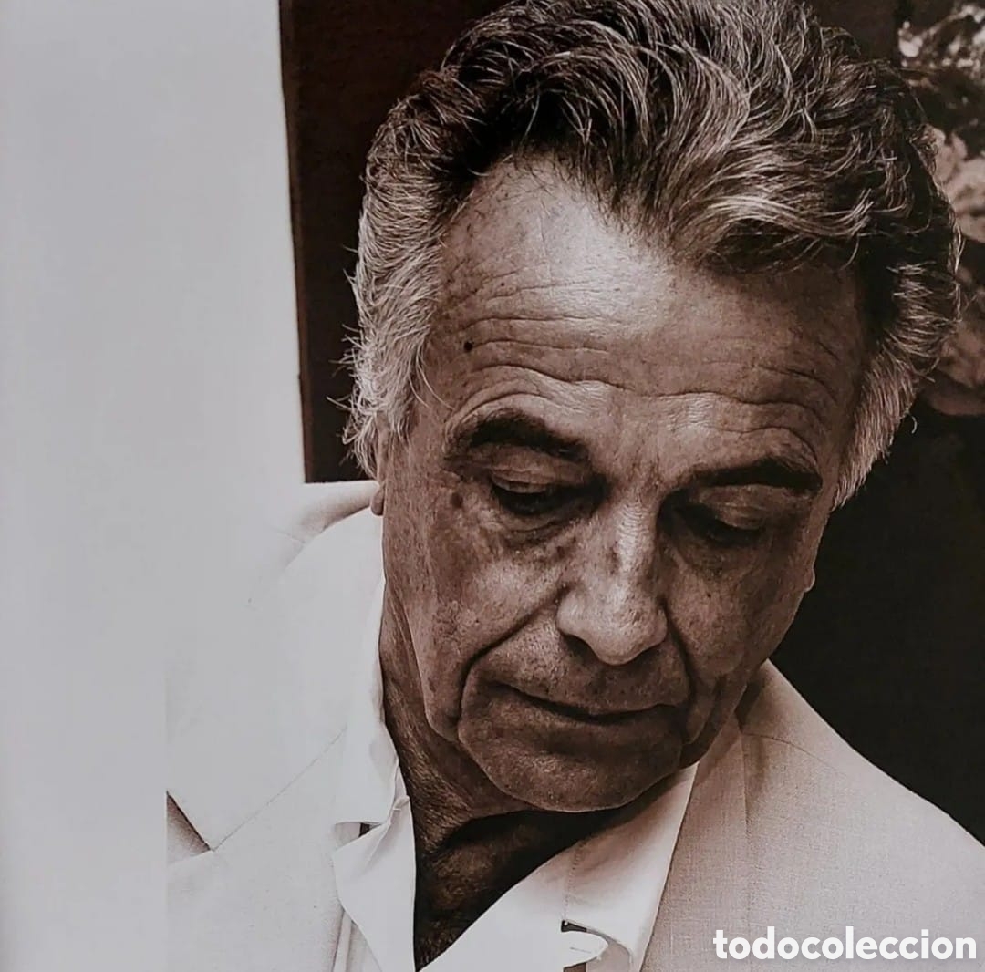 Arte: XAVIER RUSCALLEDA OLEO..GOUACHE..68X47 - Foto 29