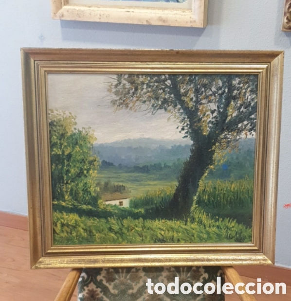 Arte: &Oacute;leo sobre lienzo CASTRO ESTEVEZ - Foto 1