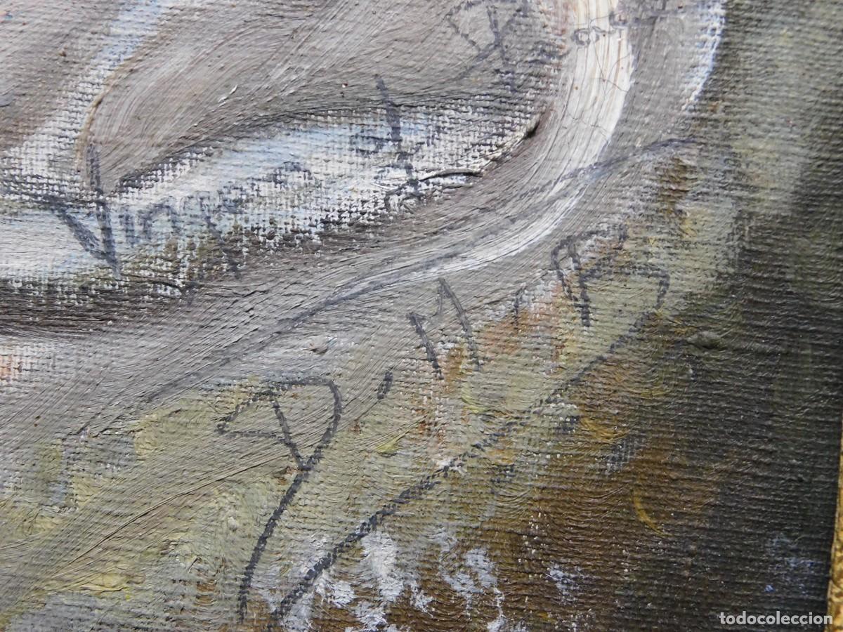 Arte: OLEO SOBRE TELA - DORIS BELSHAW - Foto 11