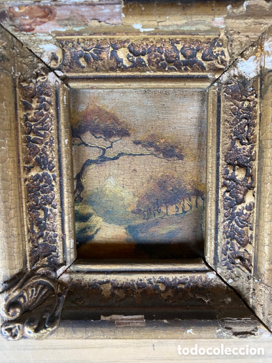 Arte: Par de cuadros al &oacute;leo - Foto 2