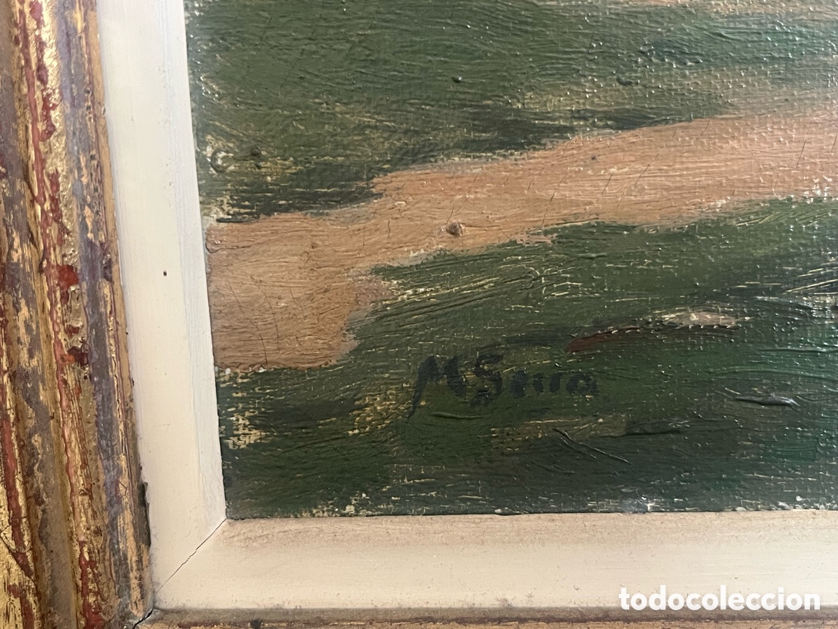 Arte: Arboleda, de Mateu Serra - Foto 3