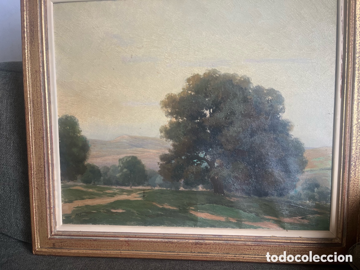Arte: Arboleda, de Mateu Serra - Foto 1