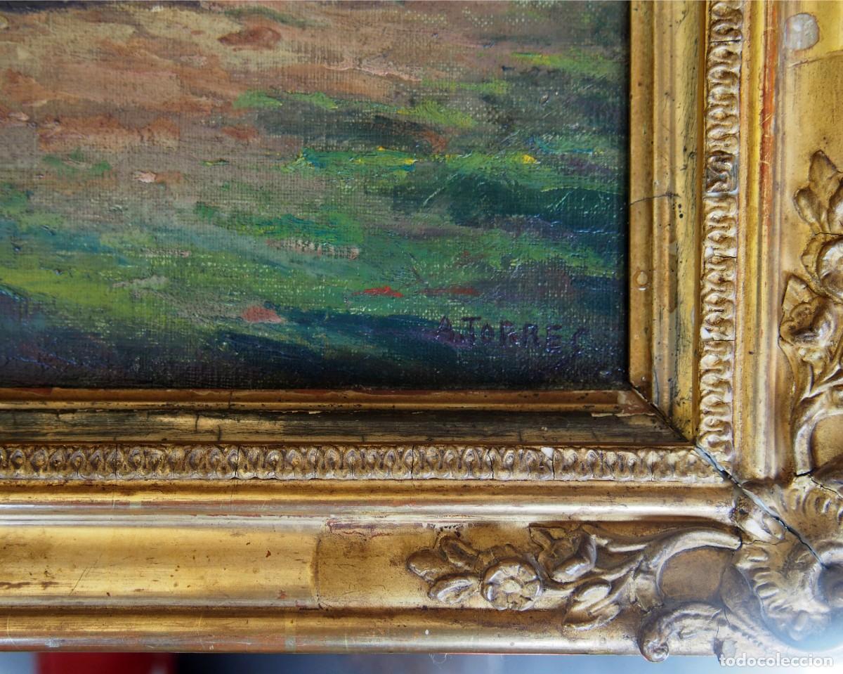 Arte: Oleo sobre lienzo. firmado A.Torres - Foto 1
