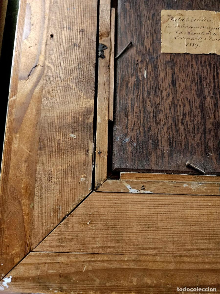Arte: Eduard Leonhardi, &oacute;leo sobre madera. - Foto 11