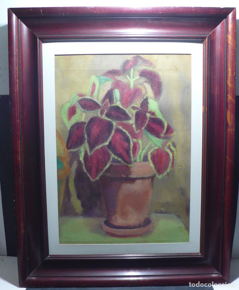 Arte: PINTURA BODEGON PLANTA - Foto 1