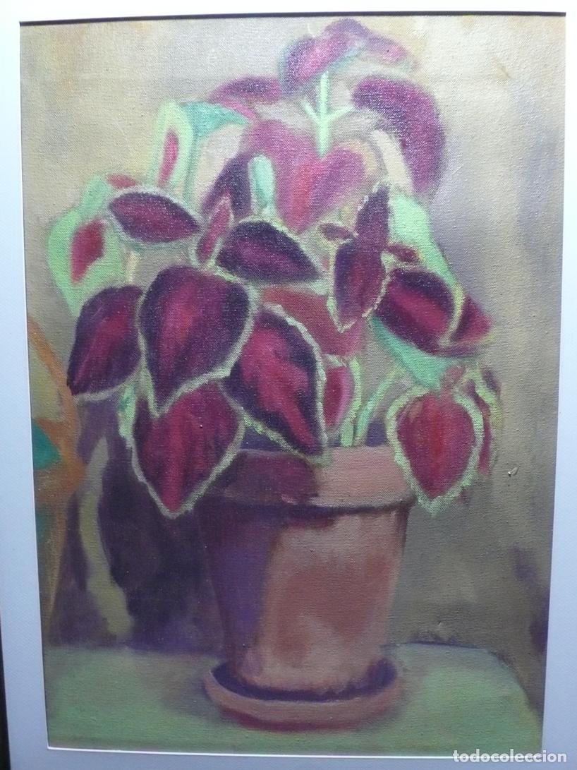 Arte: PINTURA BODEGON PLANTA - Foto 2