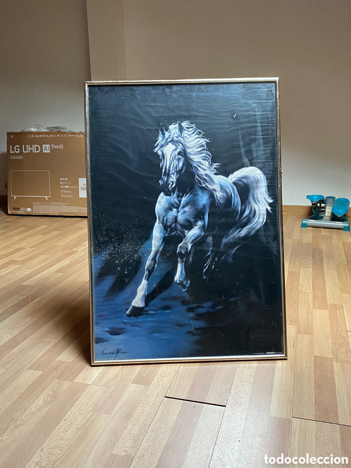 Arte: Cuadro de Caballo Blanco - Foto 2