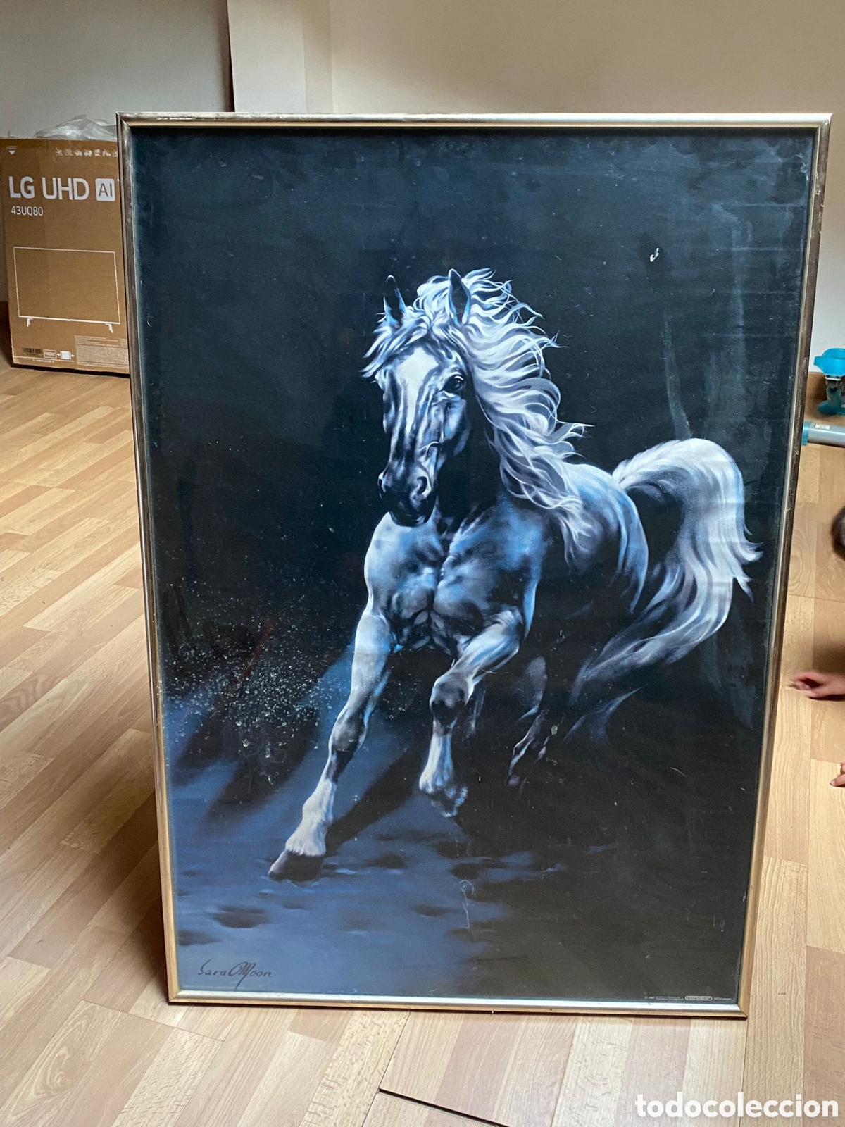 Arte: Cuadro de Caballo Blanco - Foto 1