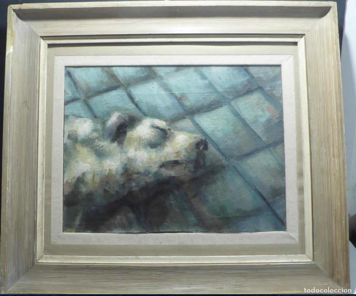 Arte: PINTURA OLEO DE PERRO - Foto 1