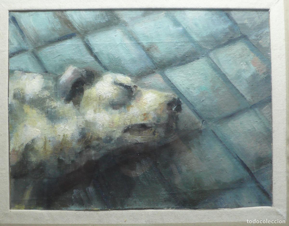 Arte: PINTURA OLEO DE PERRO - Foto 2