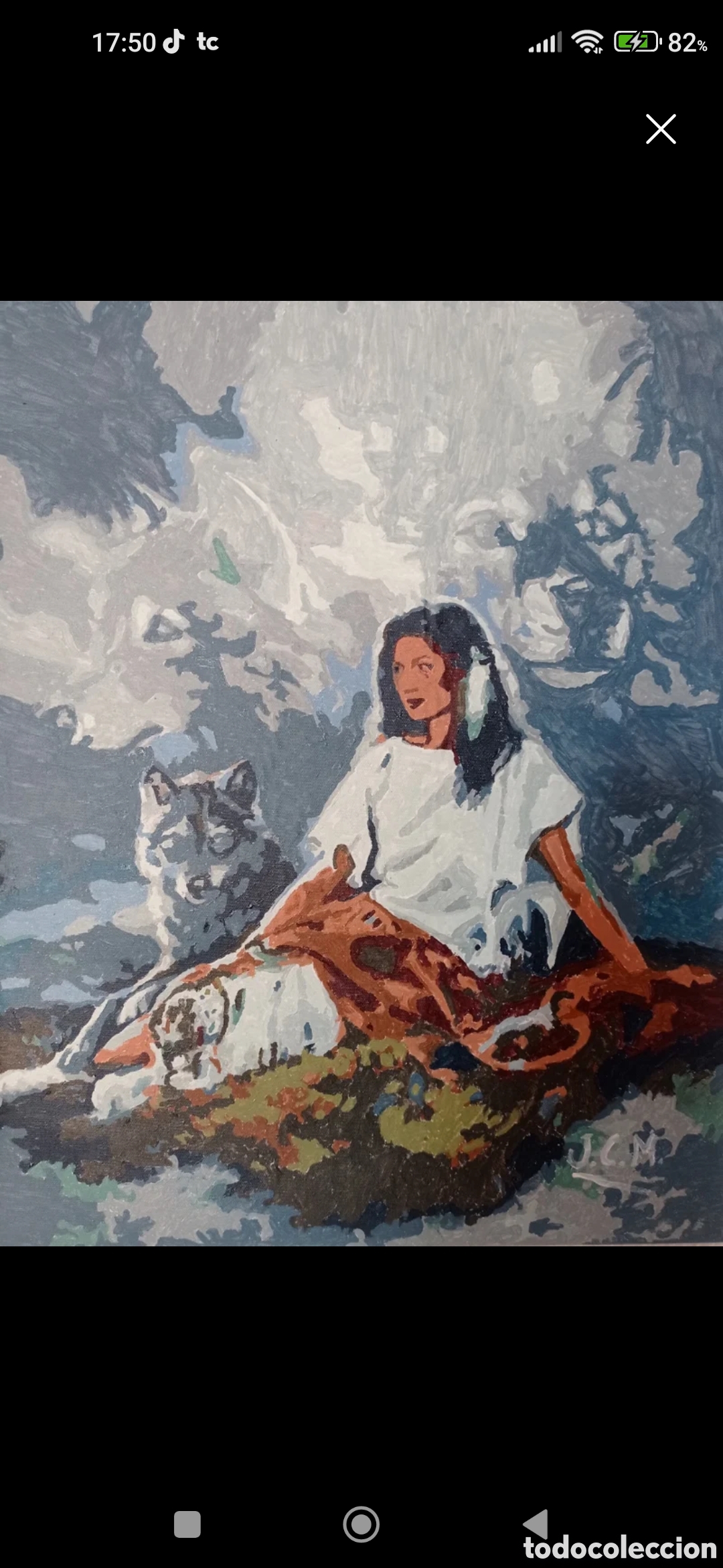 Arte: Cuadro de India Americana - Foto 1