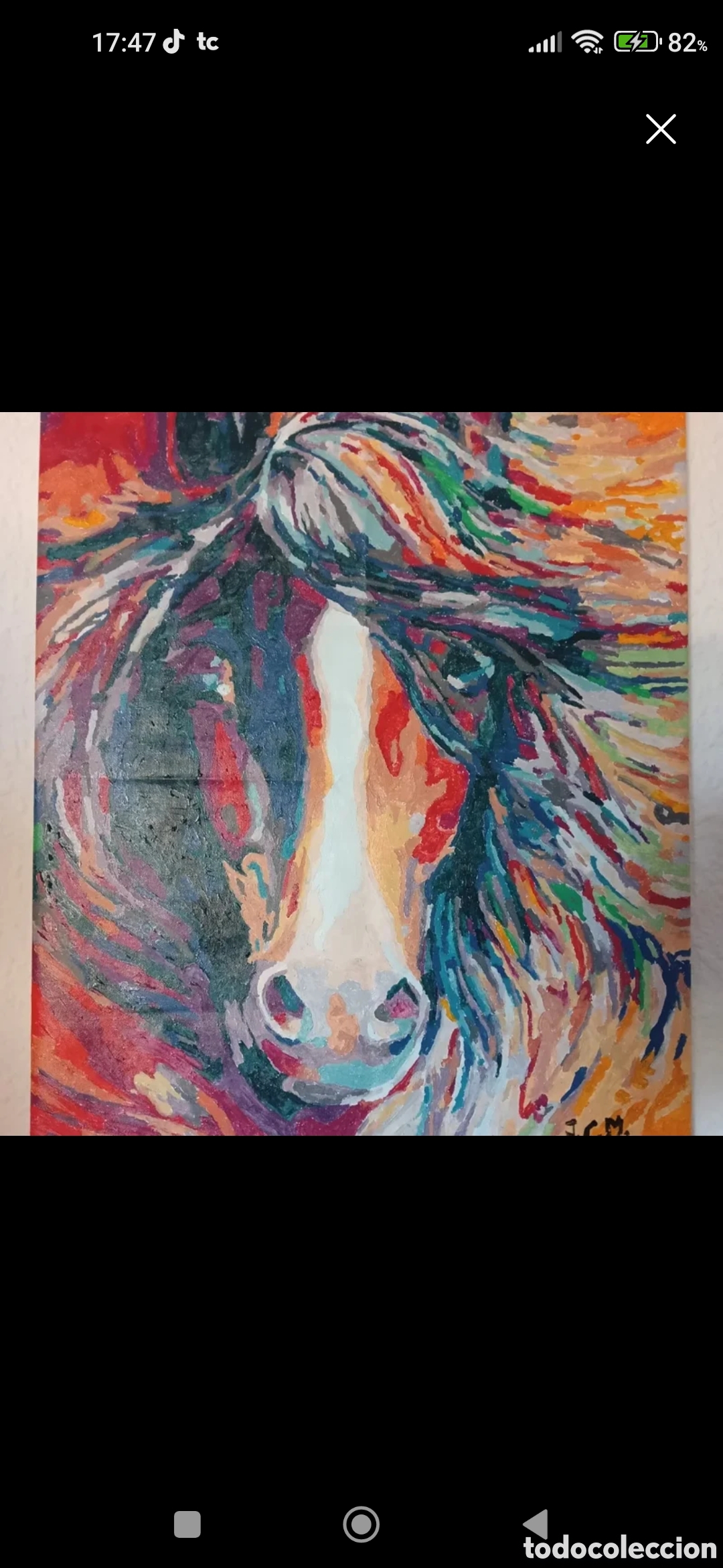 Arte: Cabeza de caballo con crines de colores - Foto 1