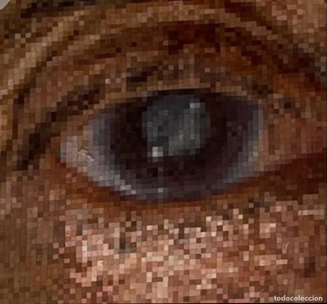 Arte: Pixel art pintura al &oacute;leo - Foto 1