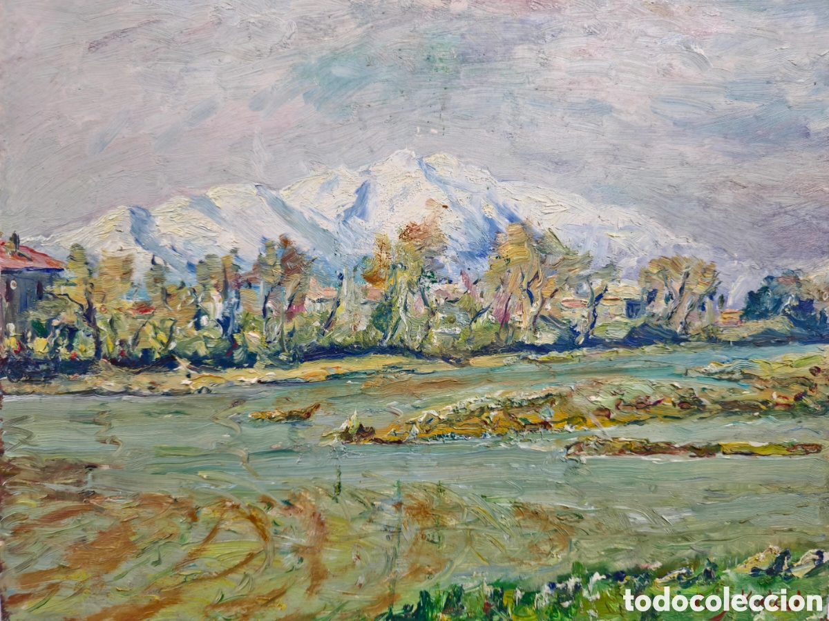 Arte: Paisaje Monta&ntilde;a por Manuel Roig Vericat