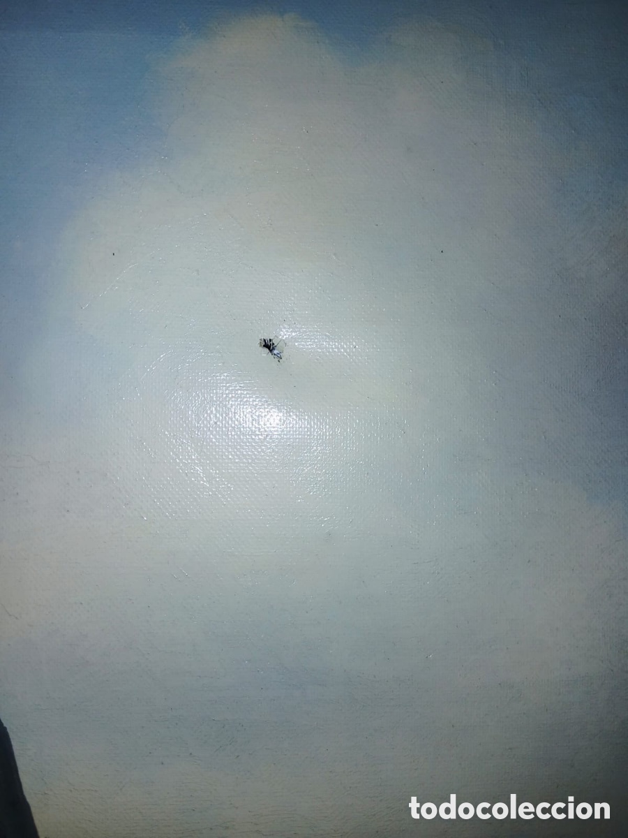 Arte: Cuadro &oacute;leo firmado podadas - Foto 6