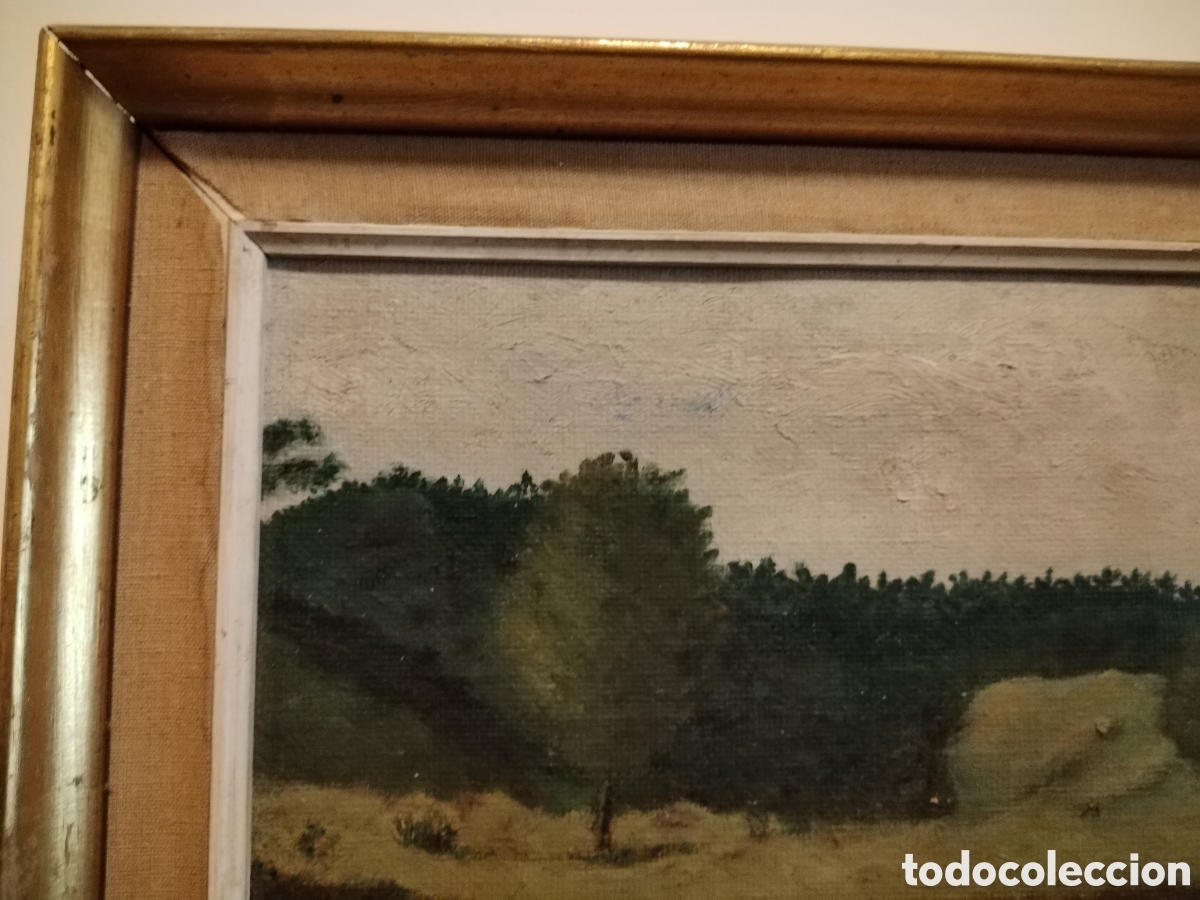 Arte: &Oacute;leo sobre lienzo firmado - Foto 4
