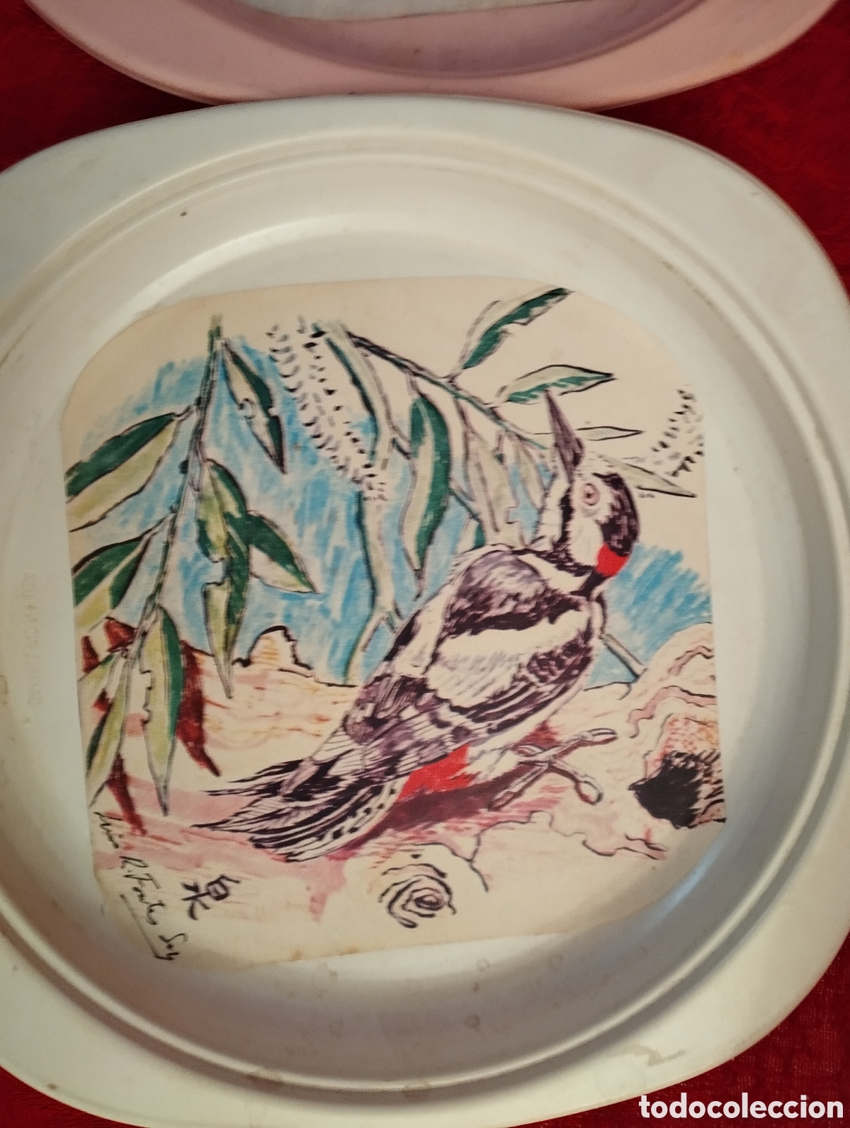 Arte: Antiguas Acuarelas P&aacute;jaros. - Foto 9
