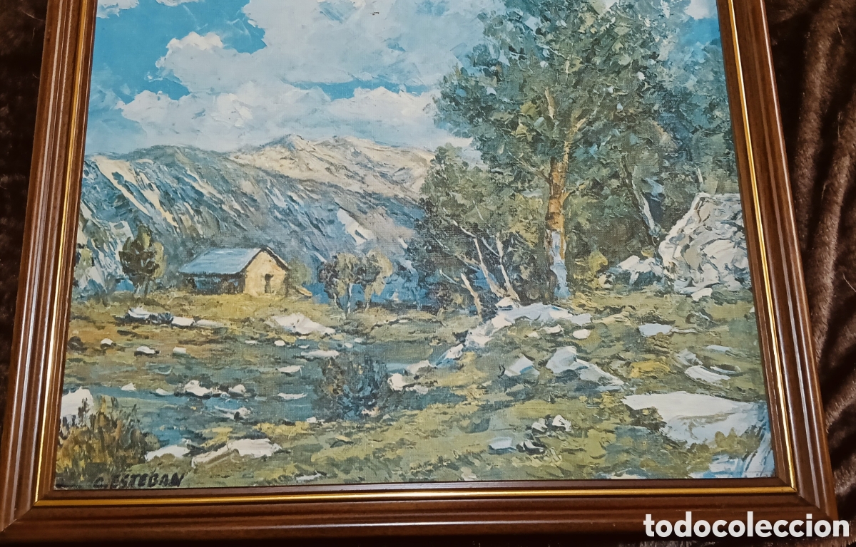 Arte: &Oacute;leo sobre lienzo G.Esteban - Foto 1
