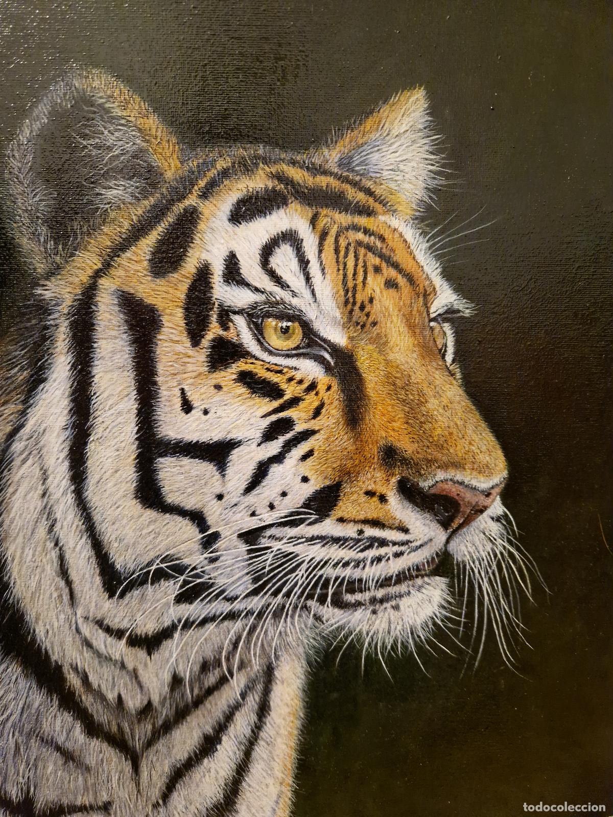 Art: Cuadro &oacute;leo tigre realista lienzo felino