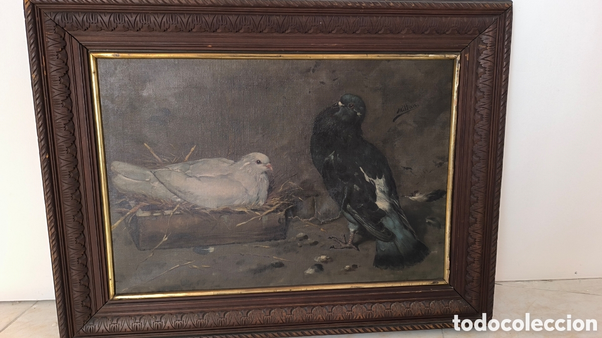 Arte: Palomas en palomar. Oleo sobre lienzo aves. Firmado Emilio Mill&aacute;n ferriz S. XIX