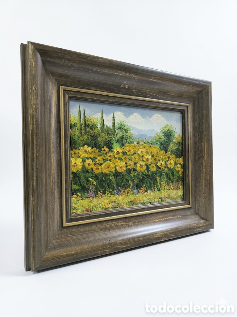 Arte: Oleo sobre lienzo sin firma