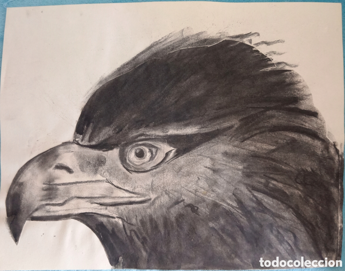 Arte: Original pintura a carboncillo (1) sobre papel doble &Aacute;guila 36cmx27,7cm... Muy bonito