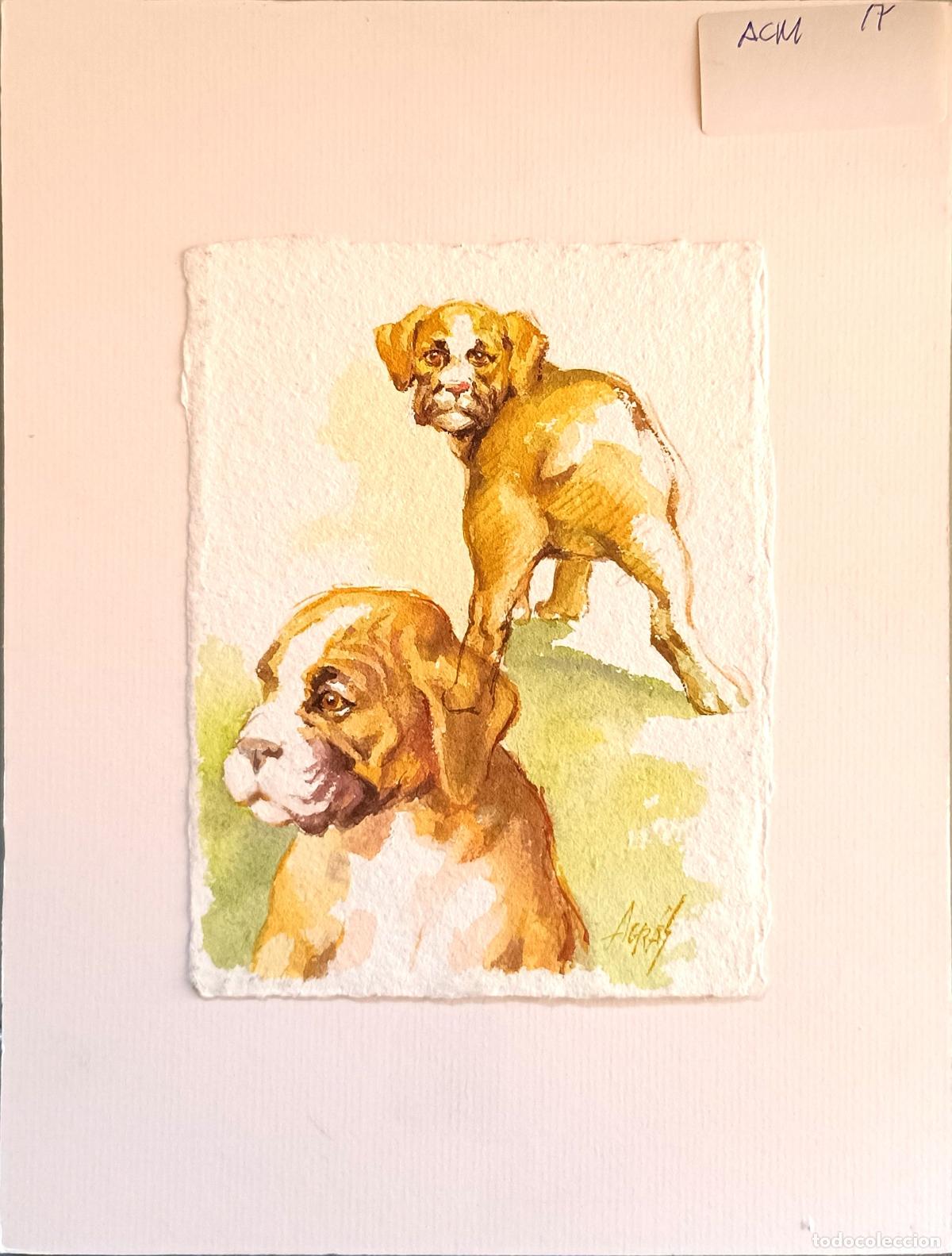 Arte: Agr&aacute;s - D&uacute;o Canino - Acuarela