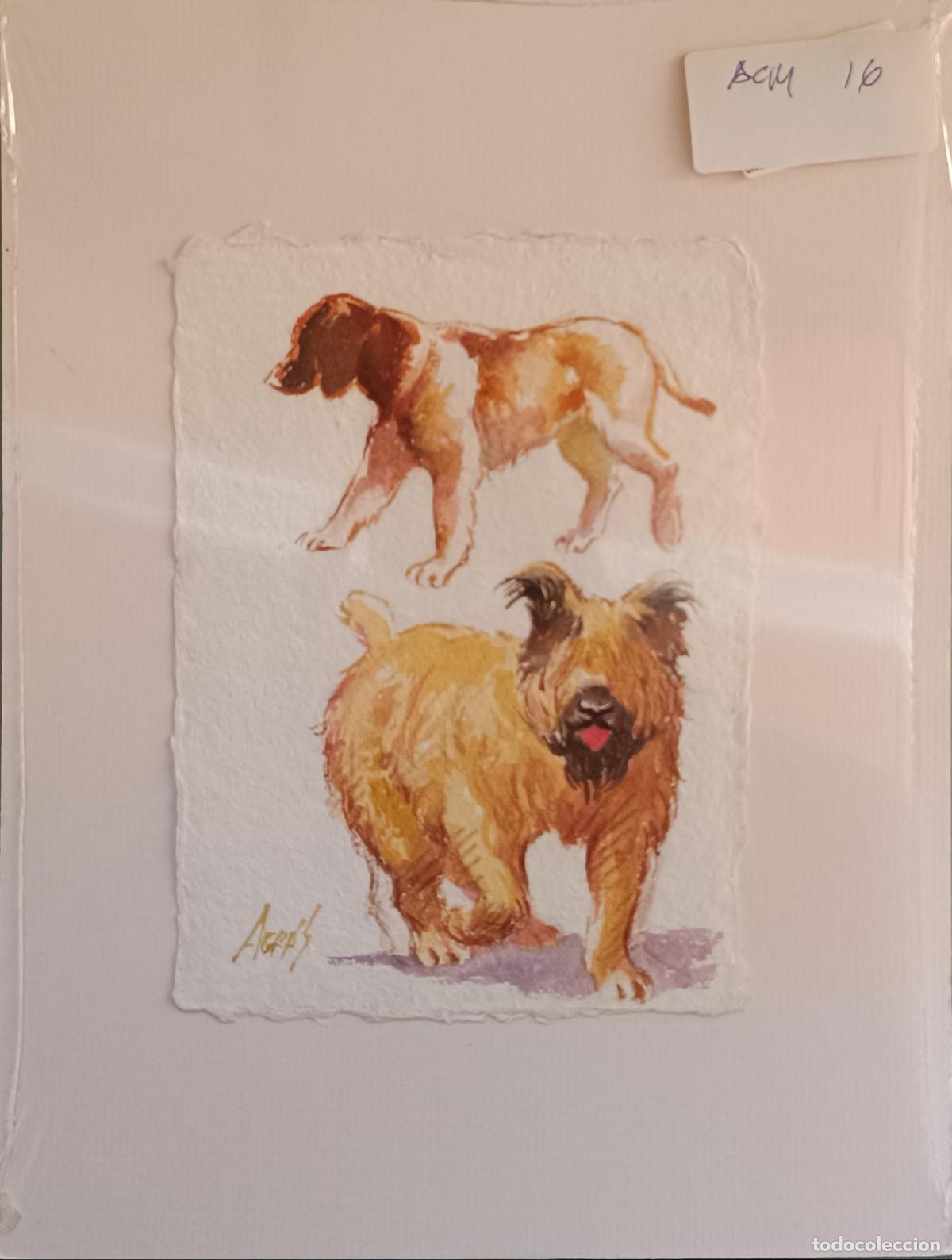 Arte: Agr&aacute;s - Perros Juguetones - Acuarela