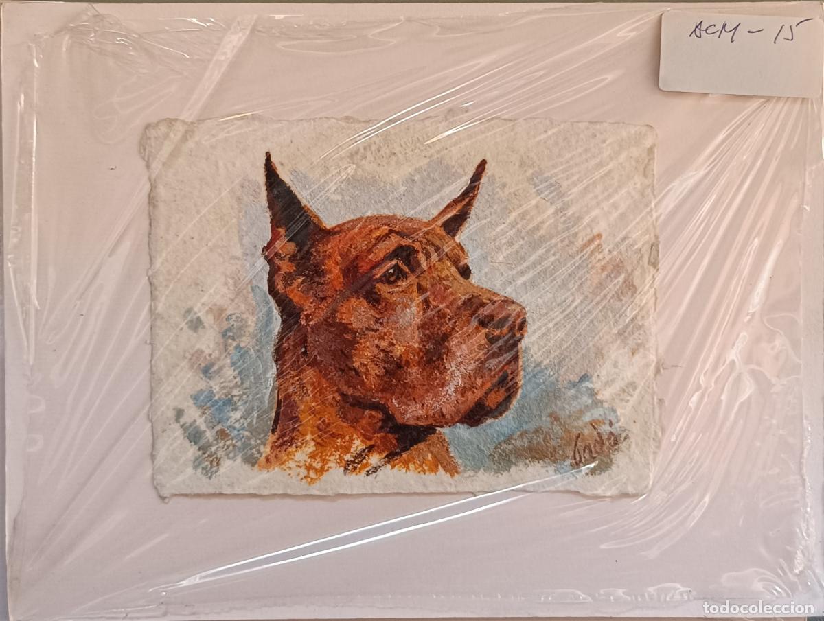 Arte: Agr&aacute;s - Retrato de perro - Acuarela