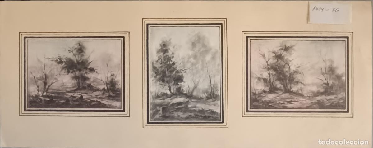 Arte: Garrido - Roca con &aacute;rboles - Triptico con dibujo a carboncillo