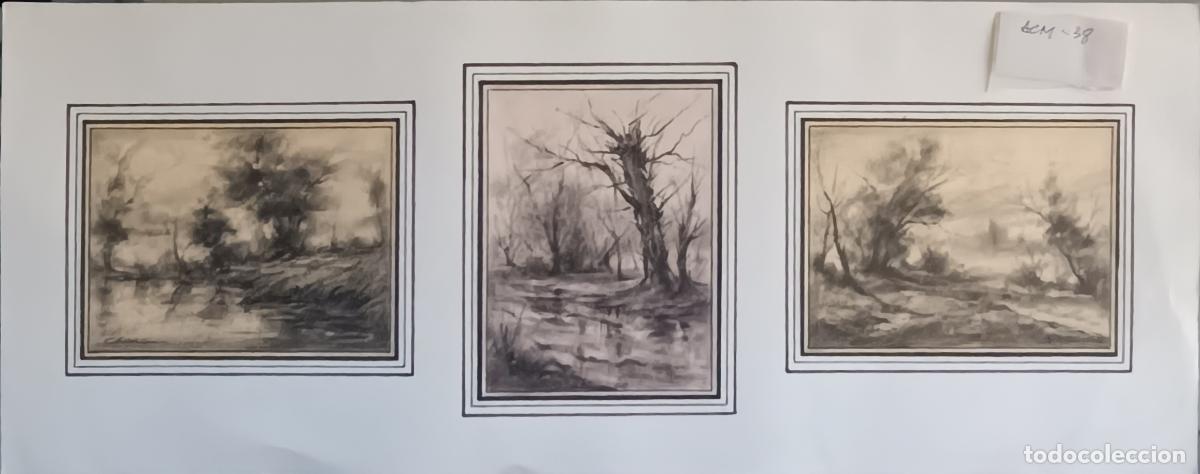 Arte: Garrido - Paisaje de &aacute;rboles en pantano - Triptico con dibujo a carboncillo