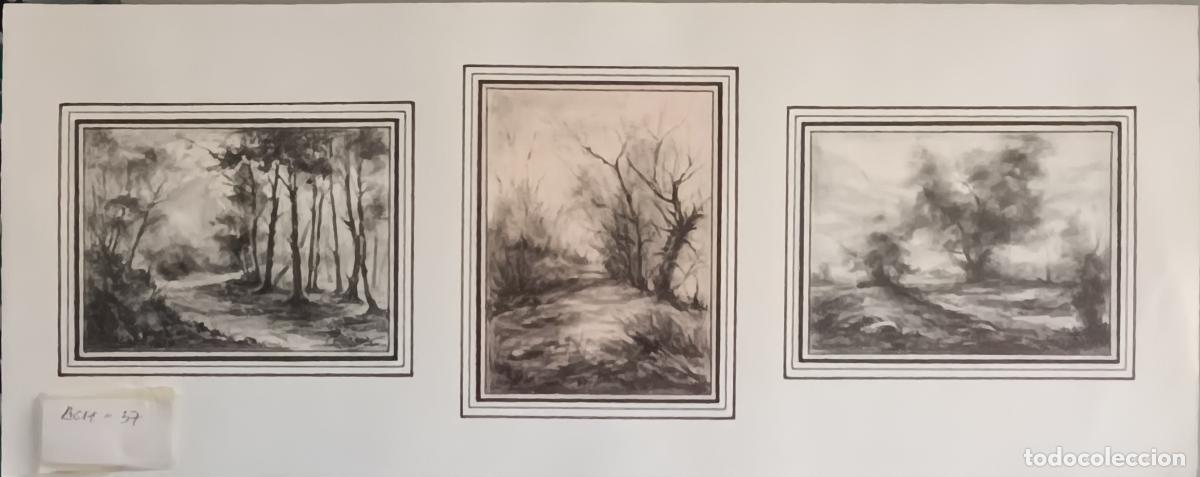 Arte: Garrido - Bosque de troncos delgados - Triptico con dibujo a carboncillo