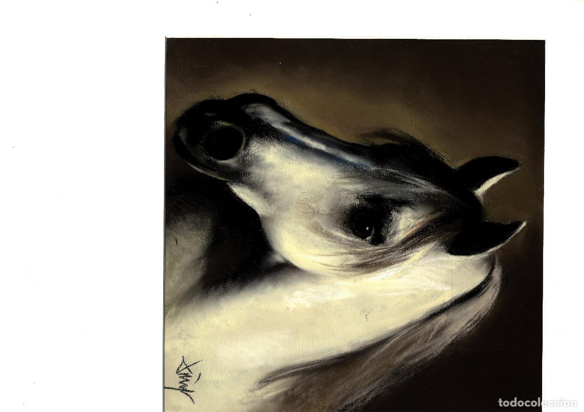 Arte: Domingo &Aacute;lvarez G&oacute;mez - Cabeza de caballo - 30x30 - Pastel